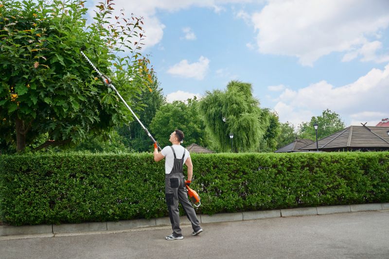 Pruned Shrubs in a Fremont Garden