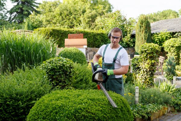 Shrub Trimming Service